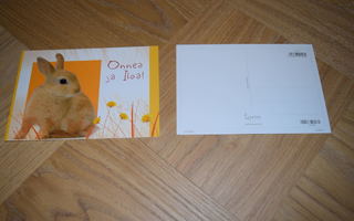 postikortti pupu kani onnea ja iloa