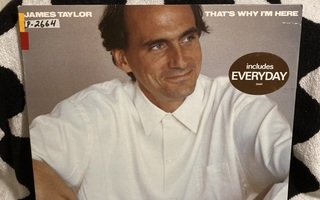 James Taylor – That's Why I'm Here LP