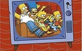 The Simpsons  5th Season  DVD