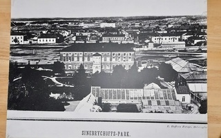 Sinebrychoffin puisto valokuva kovalevyllä 60 x 45 cm