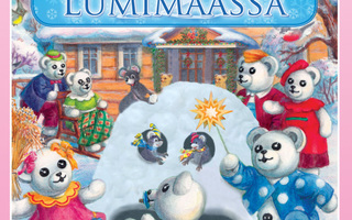 Ti-Ti Nalle: Seikkailu lumimaassa dvd