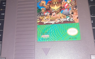 NES Adventure Island USA