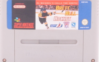 Brett Hull Hockey