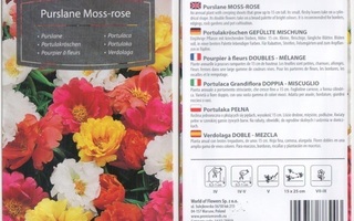Koristeportulakka "Moss-rose" siemenet