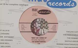 THE BARNSTOMPERS  - What Am I Gonna Do 7"