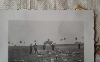 valokuva kaatuneita sotilaita