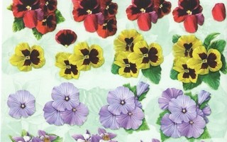 Foliartin 3D kuva Kukkia
