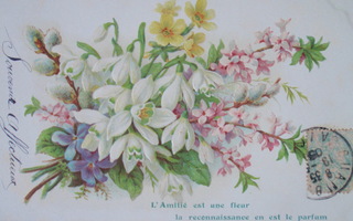Kohopainettu kukkakimppu WANHA 1905