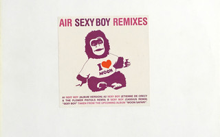 AIR – Sexy Boy, Vinyl, 12", Promo, 33  RPM