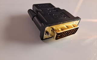 24+1 DVI (Uros) TO HDMI (Naaras) Adapteri