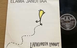 Lapinlahden Linnut – Elämä Janottaa (LP)