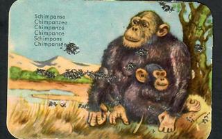 ALE - EAS 3113 - Nelkku - Simpanssi - 1960-luvulta!!!