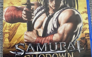 Samurai showdown