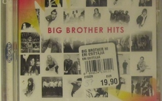 Various • Big Brother Hits Tupla CD