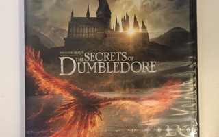 Ihmeotukset: Dumbledoren salaisuudet (4K Ultra HD + Blu-ray)