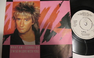 Rod Stewart. What Am I Gonna Do. 7" Sinkku.