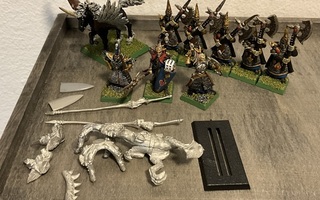 Warhammer Dark Elf  5x Black Guard + muuta