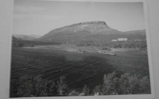 Kilpisjärvi, mv valokuvapk, SMY nro 1440, ei kulk.