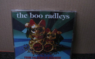 Boo Radleys:From the bench at Belvidere cds