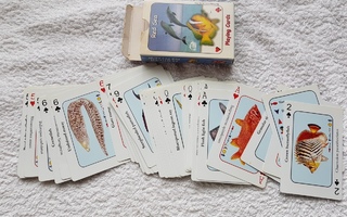 Red sea  playing cards Pelikortit
