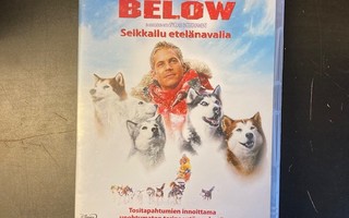 Eight Below - seikkailu etelänavalla DVD