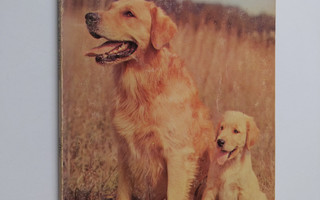 Evelyn Miller : How to raise and train a Golden Retriever