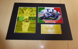 Valentino Rossi taidevalokuvat paspis A4