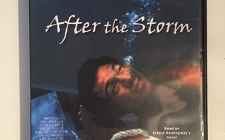 After the storm - Aarteen jäljillä (DVD) Benjamin Bratt 2001