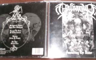 Calvarium: Assaulting The Divine CD (Sis.pk:t)
