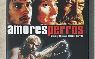 Amores Perros (2000) Alejandro González Iñárritu -elokuva