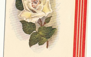 Valkoinen ruusu Äidille - vanha taittokortti