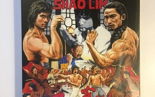 Disciples of Shaolin - 88 Asia 28 (Blu-ray) Slipcase (UUSI)