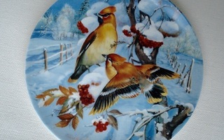 SEINÄLAUTANEN Linnut talvella TILHIT, Hutschenreuther