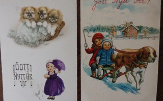 2 kpl Vanhoja koira-aiheisia postikortteja