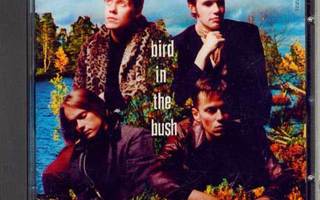 BIRD IN THE BUSH: Young Immortals CD