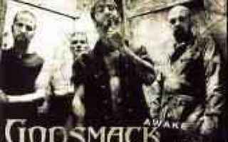 Godsmack  **  Awake  **  CD