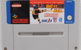 Brett Hull Hockey