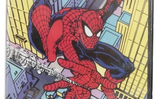 Spider-Man (vs the Kingpin)