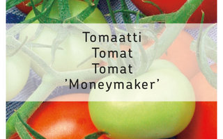 Tomaatti siemenet MONEYMAKER