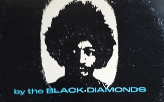 LP-LEVY: JIMI HENDRIX : BY THE BLACK DIAMONDS