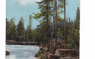 VANHA Postikortti Ilomantsi 1900-l