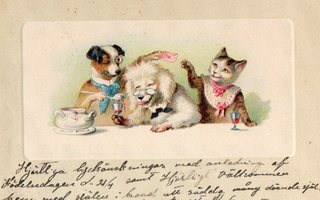 Vanha postikortti- koira- ja kissakaverit juhlivat