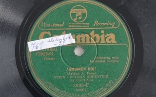 Savikiekko 1928 - Stein Östman orkesteri - Columbia 3099-F