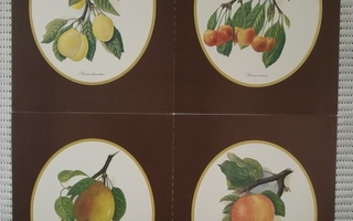 Taidejuliste/art print, 4 kpl hedelmäaiheisia