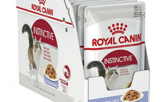 Royal Canin FHN Instinctive in jelly - märkäruoka aikuisil