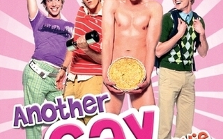 Another Gay Movie  -  DVD