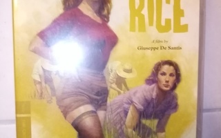 DVD Bitter Rice ( SIS POSTIKULU)