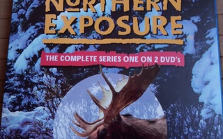 Northern Exposure (Villi Pohjola), 1.tuotantokausi (1990)