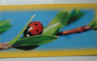 NO 3865 - LEPPÄKERTTU - kortin koko = 10 x 22 cm