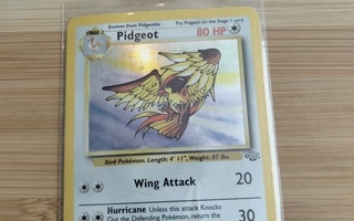 Pokemon kortti : Pidgeot 8/64